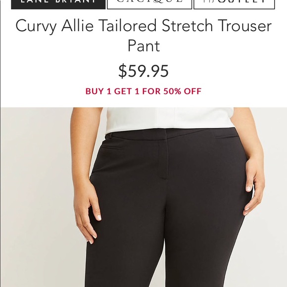 Lane Bryant pants - Picture 2 of 3
